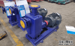 簡(jiǎn)述化工自吸泵產(chǎn)品的特點(diǎn)優(yōu)勢(shì)